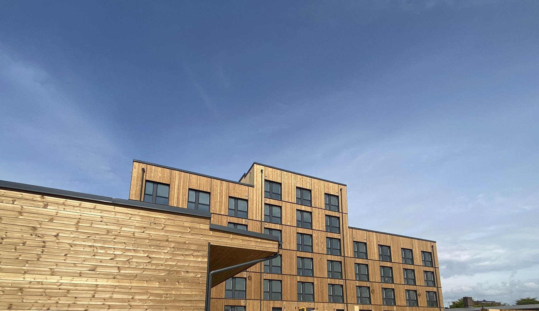 Bergs' subsidiary Bitus launches heat-treated wood